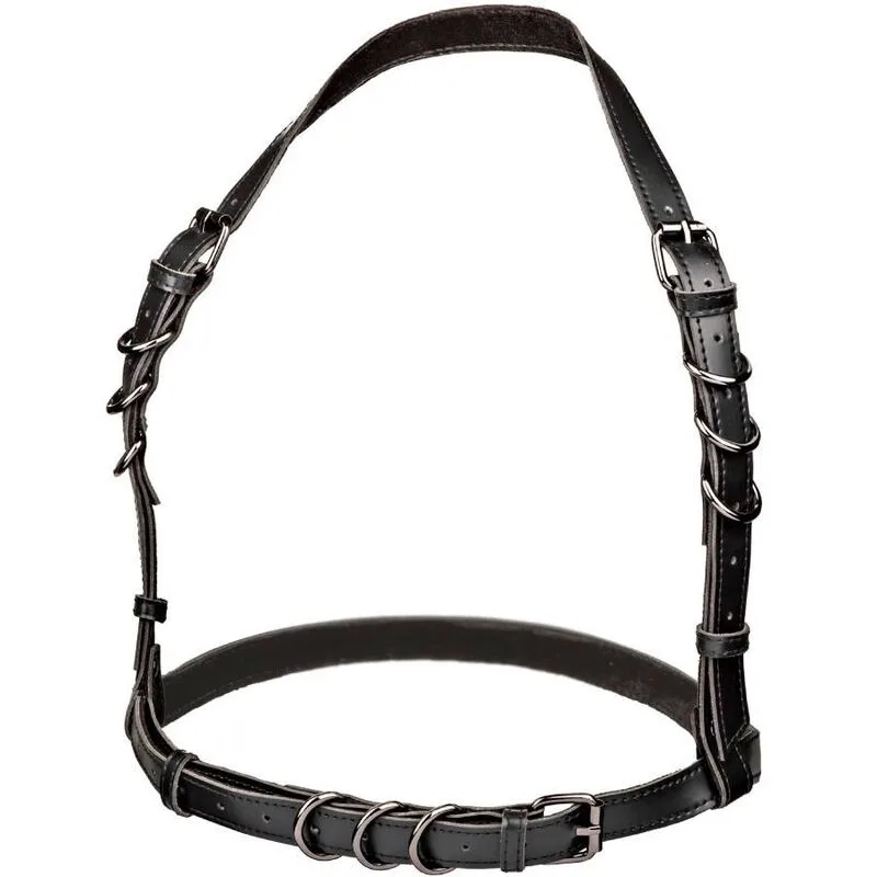 Calexotics - Euphoria Collection Halter Buckle Harness in Black