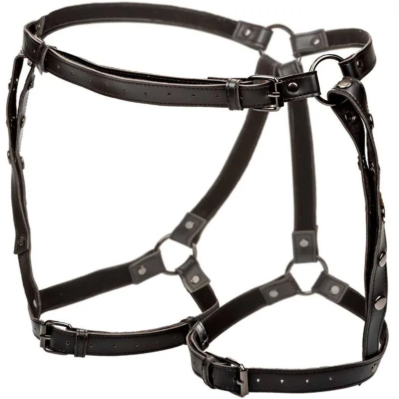 CalExotics Euphoria Plus Size Multi-Chain Riding Thigh Harness